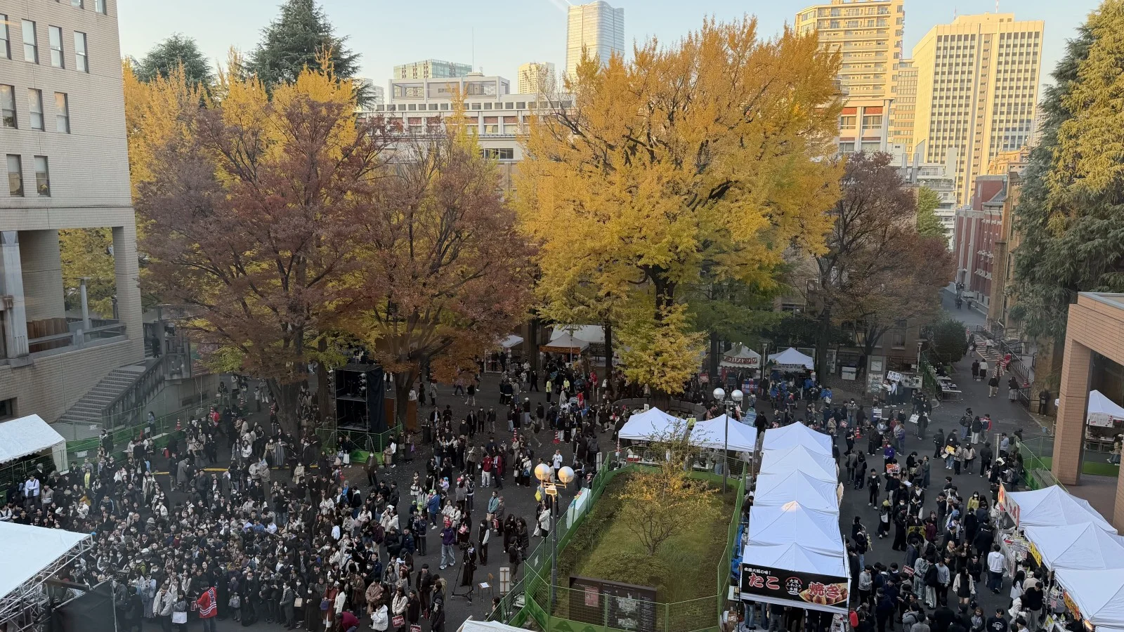 【慶應文学部小論文解説】現役慶應生ならこう解く！勉強法&コツを伝授