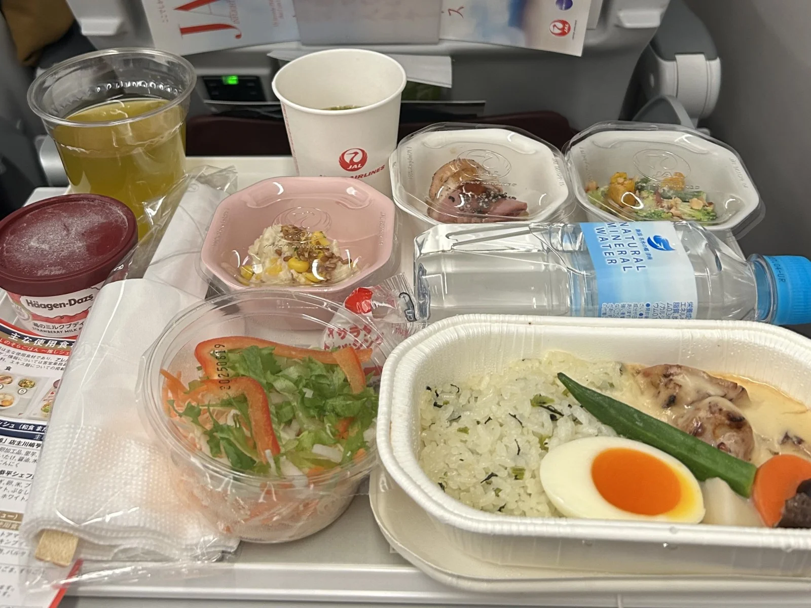 【JAL羽田発ヒースロー着】ロンドン行き搭乗ブログ